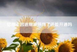 信用卡因逾期被停用了还能开通吗