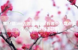黑户借5000去哪借呢2022有哪些？盘点几个小额贷款好下款的