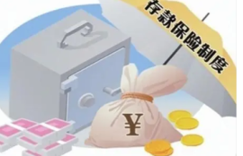 存款保险与风险防范：确保存款安全，理性投资！