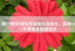 [魅力男女]现在申请民生信用卡，就有120%年费现金超值返还