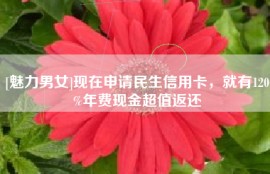 [魅力男女]现在申请民生信用卡，就有120%年费现金超值返还