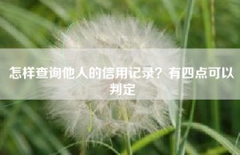 怎样查询他人的信用记录？有四点可以判定