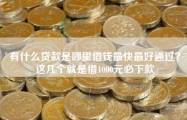 有什么贷款是哪里借钱最快最好通过？这几个就是借1000元必下款