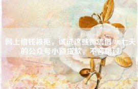 网上借钱被拒，试试这些微信借500七天的公众号小额贷款，不容错过