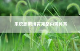 系统施策培育完整内需体系