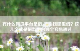 有什么网贷平台是借1千块钱哪里借？这几个就是借款平台哪个容易通过