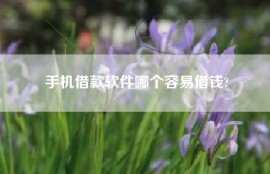 手机借款软件哪个容易借钱?