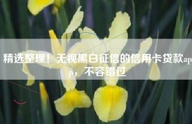 精选整理！无视黑白征信的信用卡贷款app，不容错过