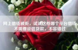 网上借钱被拒，试试这些哪个平台借钱不需要征信贷款，不容错过