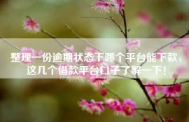 整理一份逾期状态下哪个平台能下款，这几个借款平台口子了解一下！