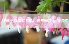 快速小额贷款名单，这些网贷app值得试一试！
