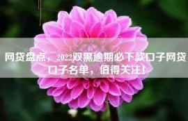 网贷盘点，2022双黑逾期必下款口子网贷口子名单，值得关注！