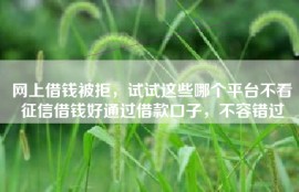 网上借钱被拒，试试这些哪个平台不看征信借钱好通过借款口子，不容错过