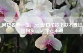 网贷名单一览，2022新口子秒下款不查征信网贷app，拿走不谢