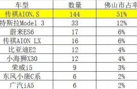 想买新能源汽车，哪个牌子的质量好一点?不要太贵的？