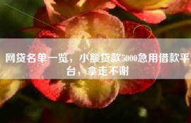 网贷名单一览，小额贷款5000急用借款平台，拿走不谢
