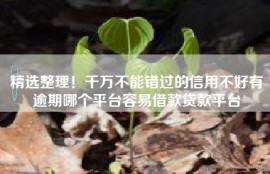 精选整理！千万不能错过的信用不好有逾期哪个平台容易借款贷款平台