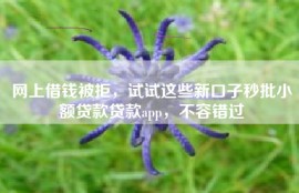 网上借钱被拒，试试这些新口子秒批小额贷款贷款app，不容错过