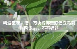 精选整理！借一万块钱哪里好借立马到账网贷app，不容错过