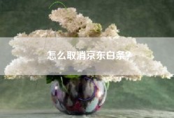怎么取消京东白条？