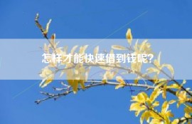 怎样才能快速借到钱呢？