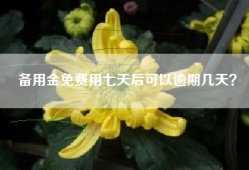 备用金免费用七天后可以逾期几天？