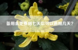 备用金免费用七天后可以逾期几天？