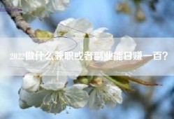 2022做什么兼职或者副业能日赚一百？