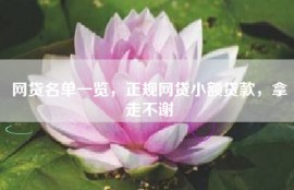 网贷名单一览，正规网贷小额贷款，拿走不谢