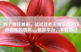 网上借钱被拒，试试这些无需审核可以秒到账的借款app借款平台，不容错过