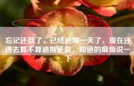 忘记还款了，已经逾期一天了，现在还进去算不算逾期还款，知道的麻烦说一下