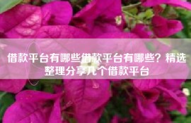 借款平台有哪些借款平台有哪些？精选整理分享几个借款平台
