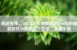 精选整理，2022年14天短期借款1000元的借款软件小额贷款一览表，拿走不谢