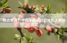 精选整理！千万不能错过的纯私人放款贷款