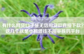 有什么网贷口子是无信用贷款直接下款？这几个就是小额借钱不用审核的平台