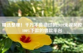精选整理！千万不能错过的2021无视风控100%下款的借款平台
