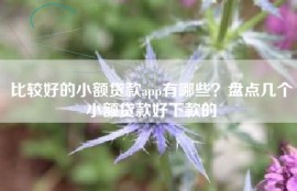 比较好的小额贷款app有哪些？盘点几个小额贷款好下款的