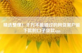 精选整理！千万不能错过的网贷黑户能下款的口子贷款app