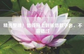 精选整理！借钱马上到账借款平台，不容错过