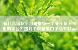 有什么借款平台是推荐一个多头贷不被拒的平台？这几个就是黑口子必下款app