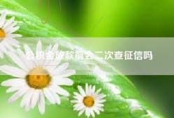 公积金放款前会二次查征信吗
