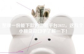 整理一份能下款的借款平台2022，这几个小额贷款口子了解一下！