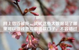 网上借钱被拒，试试这些大数据花了哪里可以借钱急用啊借款口子，不容错过