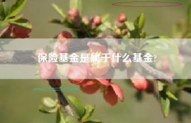保险基金是属于什么基金?