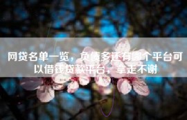 网贷名单一览，负债多还有哪个平台可以借钱贷款平台，拿走不谢