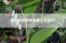 新浪的微博借钱要上征信吗？
