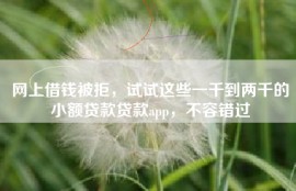 网上借钱被拒，试试这些一千到两千的小额贷款贷款app，不容错过