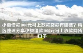 小额借款1000元马上放款贷款有哪些？精选整理分享小额借款1000元马上放款网贷口子