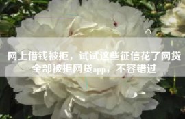 网上借钱被拒，试试这些征信花了网贷全部被拒网贷app，不容错过