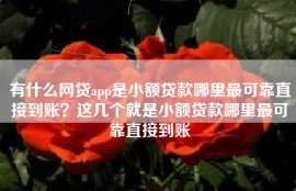 有什么网贷app是小额贷款哪里最可靠直接到账？这几个就是小额贷款哪里最可靠直接到账